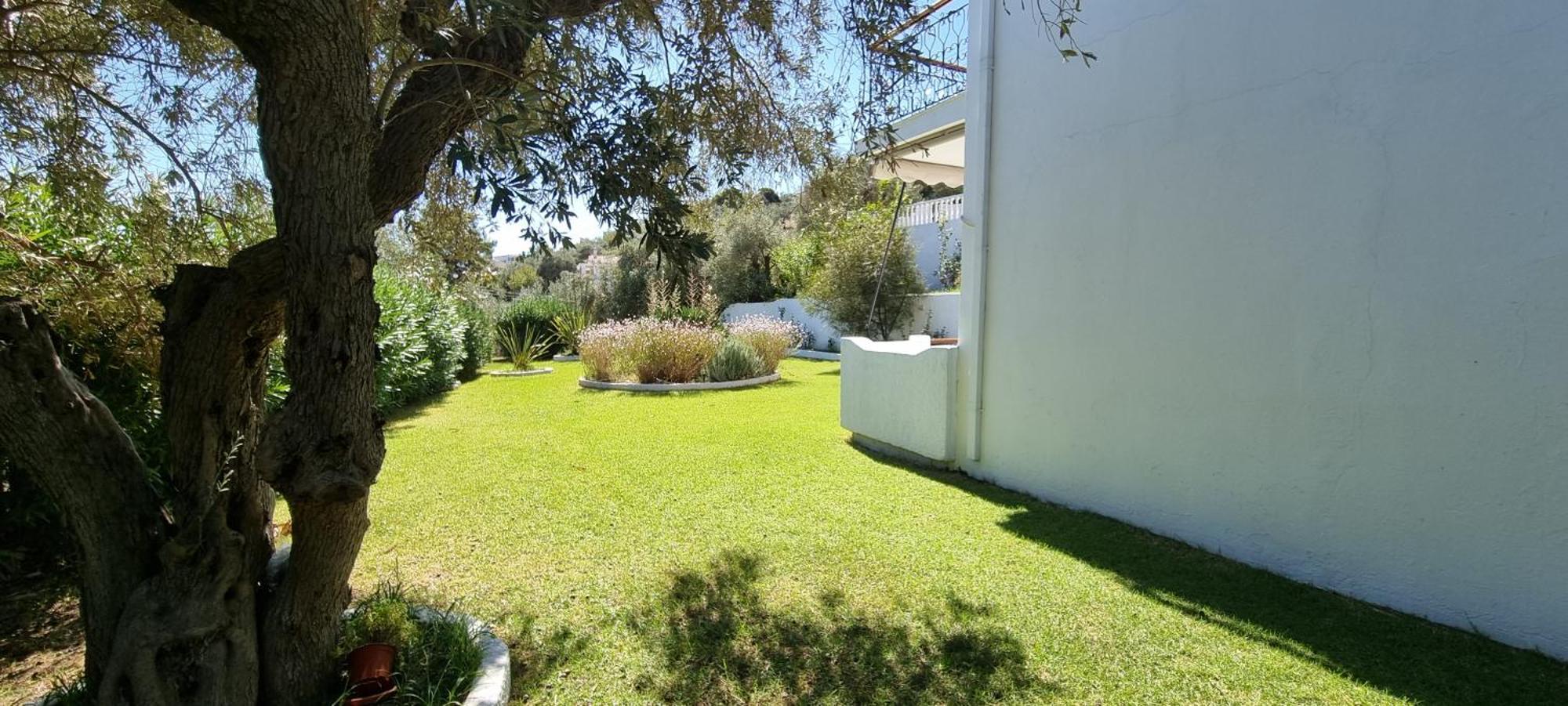 Olive Grove Studios Megali Ammos  Exterior photo